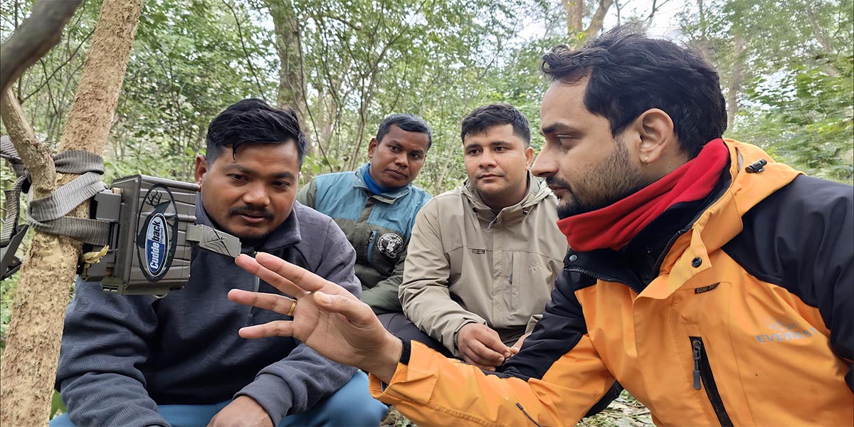 जंगली जनावरकाे आक्रमण राेक्न वनमा क्यामेरा जडान