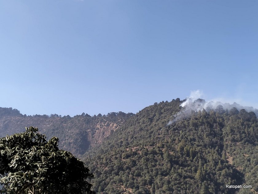 मङ्गलबार दिउँसोदेखि महाभारत जङ्गलमा लागेकाे डढेलो नियन्त्रणमा