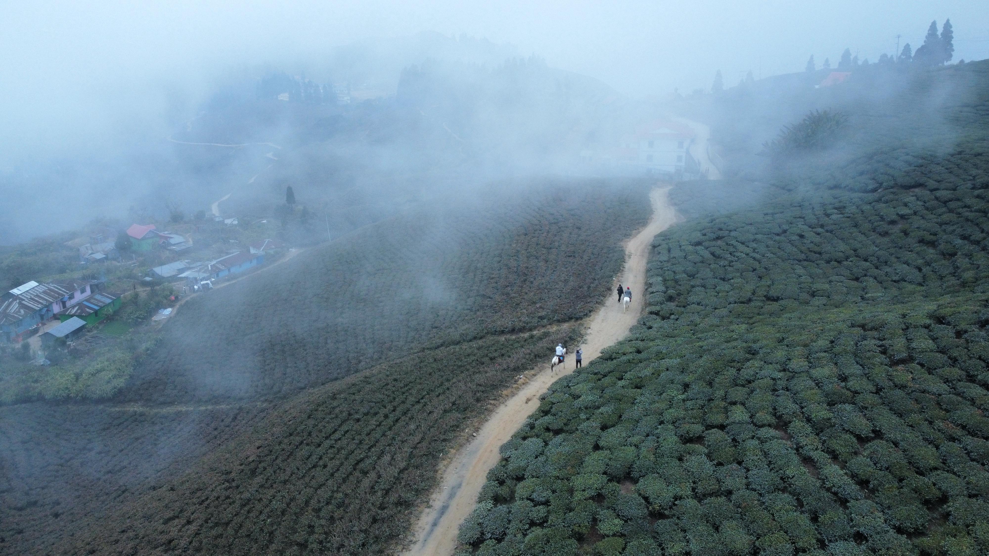 इलामस्थित चिया बगान र प्रतिकूल मौसम (तस्बिरहरु)