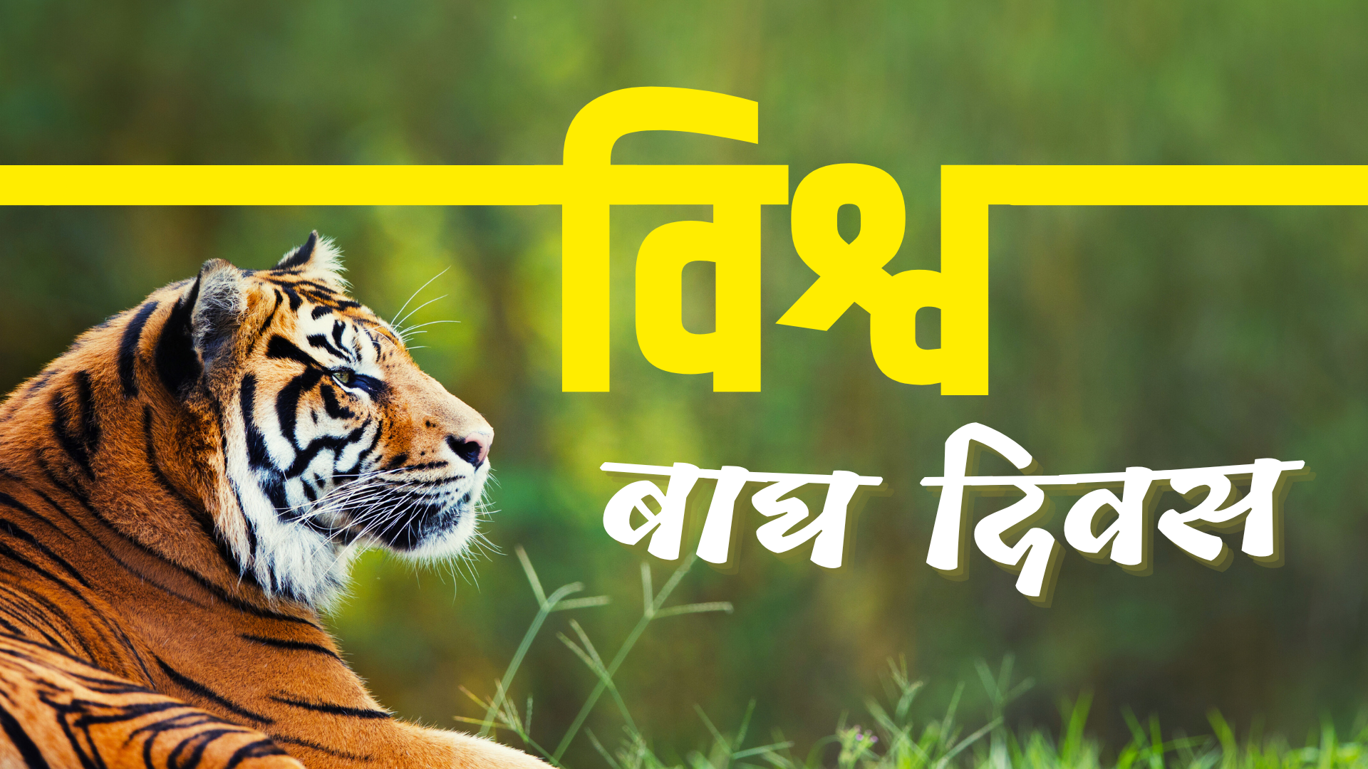 विश्व बाघ दिवस मनाइँदै