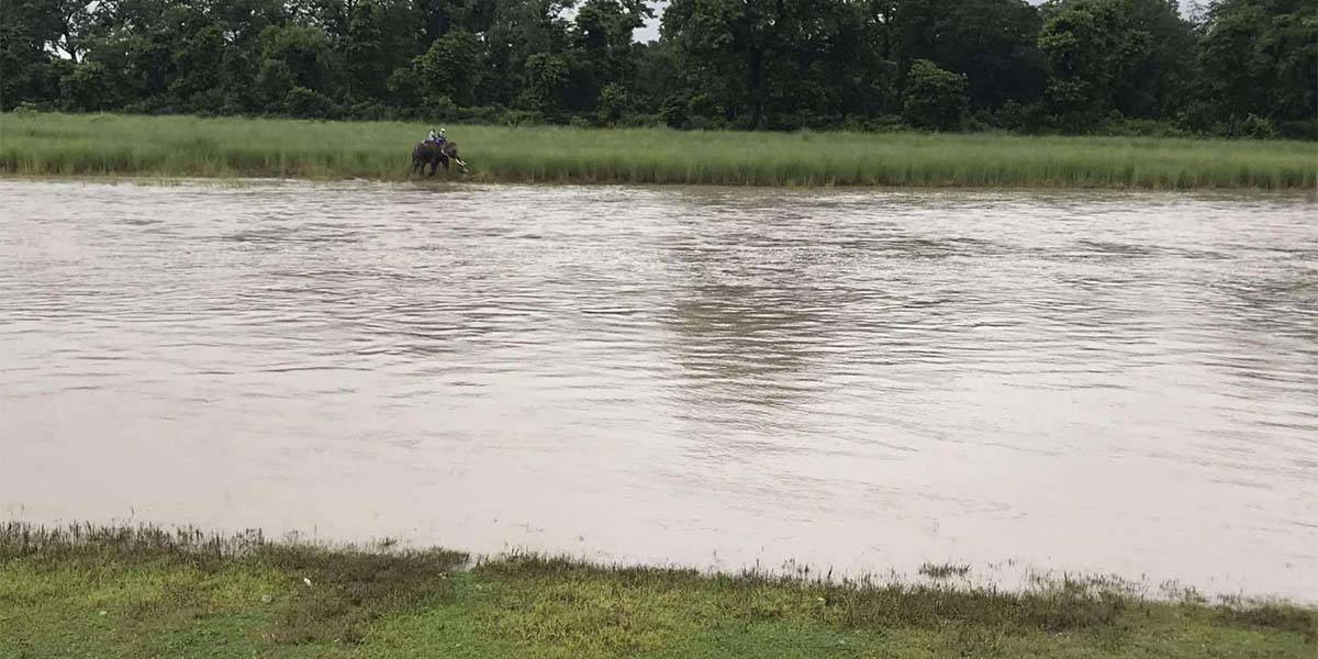 गोहीको आक्रमणबाट बेपत्ता युवा फेला परेनन्