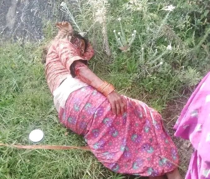 बाजुरामा भालुको आक्रमण बाट एक महिला गम्भीर घाईते