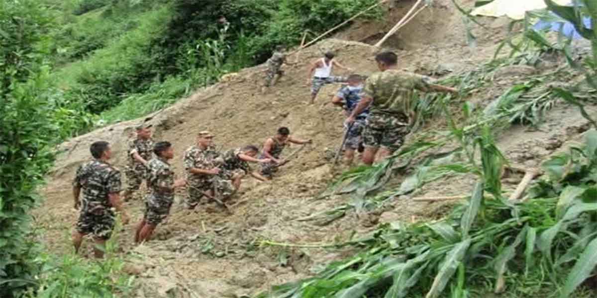 भारी वर्षाबाट कृषि र पशुपालनमा क्षति, विवरण संकलन सुरु