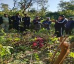 चितुवाले आक्रमण गर्दा एक महिलाको मृत्यु, दुई जनाले भागेर ज्यान बचाए