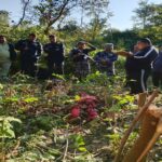 चितुवाले आक्रमण गर्दा एक महिलाको मृत्यु, दुई जनाले भागेर ज्यान बचाए