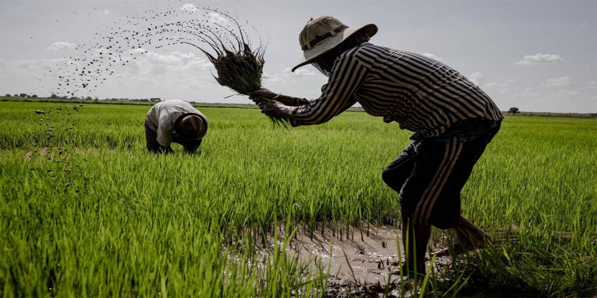 कसको लागि जलवायु सहयोग? हरित अर्थतन्त्रमा रुपान्तरण भइरहेकाहरूको हिस्सा केवल ३ प्रतिशत