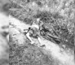 रामेछापमा जङ्गली जनावरको आक्रमणबाट ६५ वर्षीया महिलाको मृत्यु