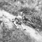 रामेछापमा जङ्गली जनावरको आक्रमणबाट ६५ वर्षीया महिलाको मृत्यु