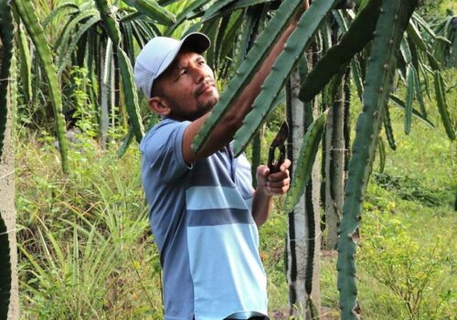 सुख्खाग्रस्त गाउँमा हरियाली : शिक्षक दिलबहादुर बने प्रेरणाका स्रोत