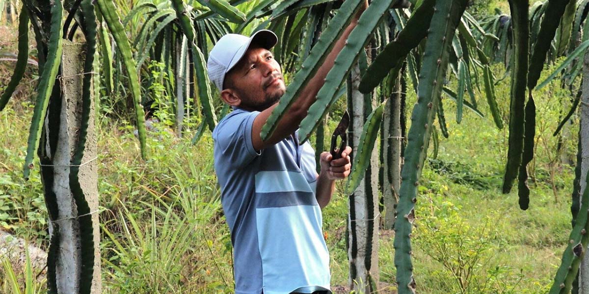 सुख्खाग्रस्त गाउँमा हरियाली : शिक्षक दिलबहादुर बने प्रेरणाका स्रोत