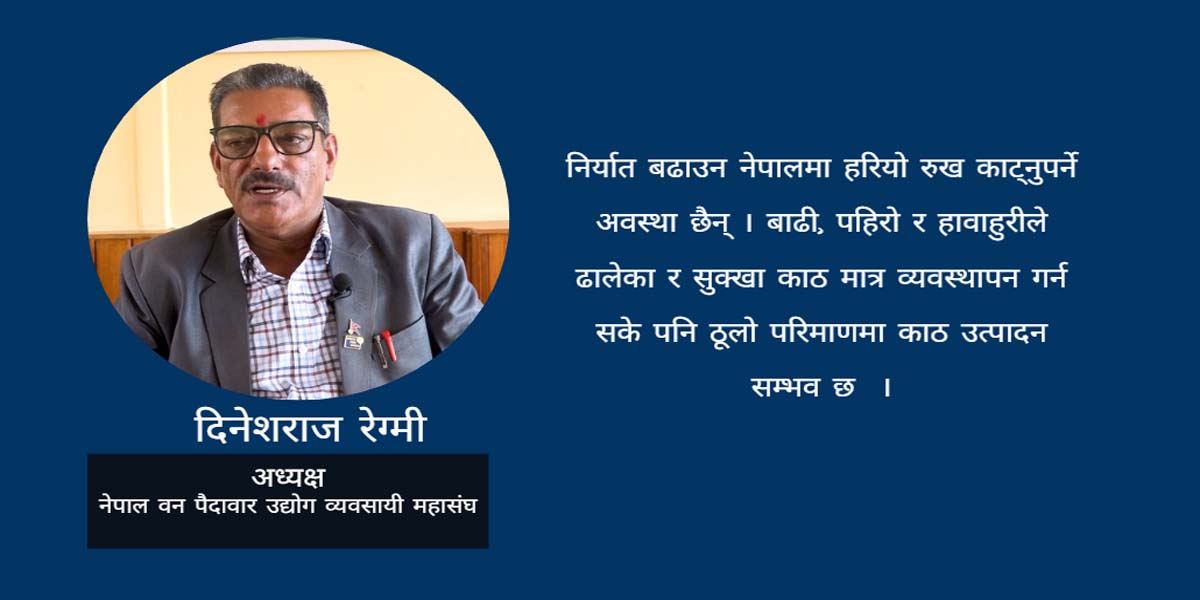 ‘२५ देशबाट काठ आयात भइरहेको छ तर नेपाली सालको काठ विश्वमै उत्कृष्ट छ’ : दिनेशराज रेग्मी