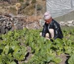 ५० को उमेरमा पनि हरियाली सपना: बाजुराका पाध्यायको तरकारी सफलताको कथा