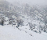 मुगुमा फेरि हिमपात, बस्ती सेताम्य, किसानलाई राहत